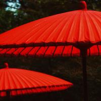 Red protection #IG 5544 Red protection #IG 5544