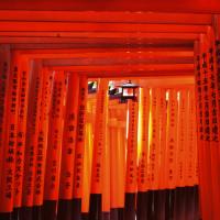 Kyoto I #IG 5546 Kyoto I #IG 5546