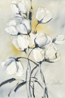 wei§e Tulpen I #IG 5550 wei§e Tulpen I #IG 5550