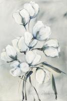 wei§e Tulpen II #IG 5551 wei§e Tulpen II #IG 5551