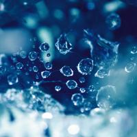 Little Worlds #IG 5615 Little Worlds #IG 5615