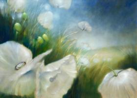Wei§er Mohn #IG 5981 Wei§er Mohn #IG 5981