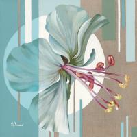 Geranium I #IG 6132 Geranium I #IG 6132