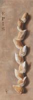 Baguette pi de bl #IG 6152 Baguette pi de bl #IG 6152