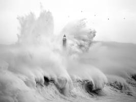 Birds in the Storm #IG 6250 Birds in the Storm #IG 6250