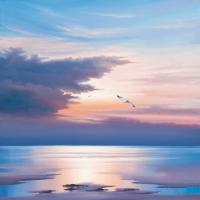 Sunset Flight #IG 6263 Sunset Flight #IG 6263