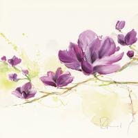 Magnolie I #IG 6271 Magnolie I #IG 6271