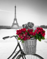 Teddy Rendez-vous #IG 6343 Teddy Rendez-vous #IG 6343