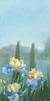 Isola Bella III #IG 6451 Isola Bella III #IG 6451