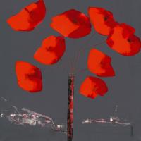 Coquelicots I #IG 6756 Coquelicots I #IG 6756