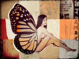 Butterfly II #IG 6760 Butterfly II #IG 6760