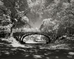 Central Park Bridge #IG 7015