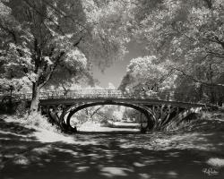 Central Park Bridge #IG 7015 Central Park Bridge #IG 7015