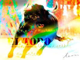 El Toro #IG 7211 El Toro #IG 7211