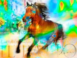 Il Palio #IG 7214 Il Palio #IG 7214