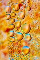 Feuerwasser #IG 7235 Feuerwasser #IG 7235