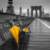 New York II #IG 7293 New York II #IG 7293