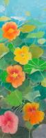 Nasturtium 1 #IG 7441 Nasturtium 1 #IG 7441