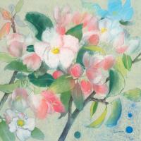 Apple Blossom 1 #IG 7443 Apple Blossom 1 #IG 7443