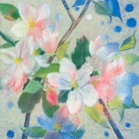 Apple Blossom 2 #IG 7444 Apple Blossom 2 #IG 7444