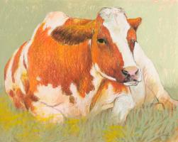 Cow in the Spring #IG 7448 Cow in the Spring #IG 7448