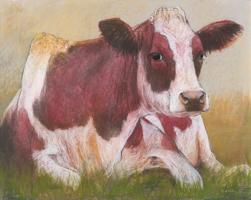 Cow in the Summer #IG 7449 Cow in the Summer #IG 7449