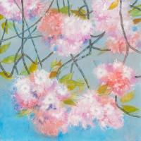 Japanese Cherry Blossom #IG 7500