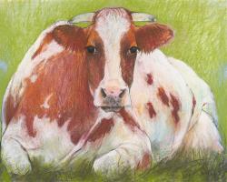 Cow #IG 7502 Cow #IG 7502