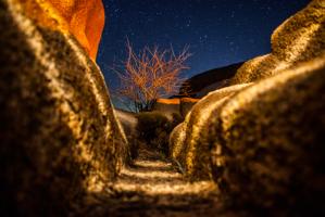 Way to the Stars #IG 7847 Way to the Stars #IG 7847