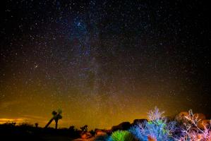 Stars over Joshua #IG 7855 Stars over Joshua #IG 7855