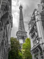 Paris my Love #IG 7970 Paris my Love #IG 7970