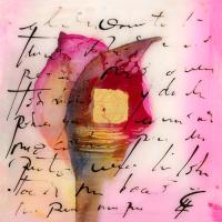 Tu rosa #IG 8017 Tu rosa #IG 8017