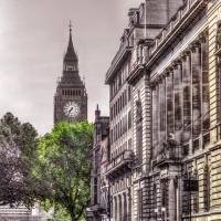 London Tree #IG 8030 London Tree #IG 8030