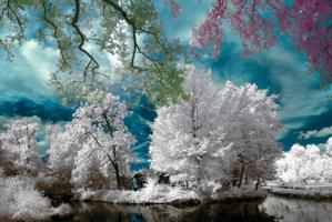 Cayac,Gradignan - Infrared Photography #IG 8156 Cayac,Gradignan - Infrared Photography #IG 8156