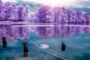 MajolanÕs Park Reflections I, Bordeaux - Infrared and UV photography #IG 8159