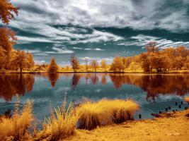 MajolanÕs Park Reflections II, Bordeaux - Infrared and UV Photography #IG 8160 MajolanÕs Park Reflections II, Bordeaux - Infrared and UV Photography #IG 8160