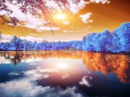 Double Reflections, MajolanÕs Park, Bordeaux - Infrared Photography #IG 8162 Double Reflections, MajolanÕs Park, Bordeaux - Infrared Photography #IG 8162