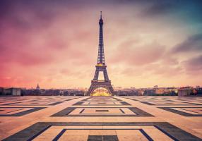 Awakening Paris #IG 8168 Awakening Paris #IG 8168