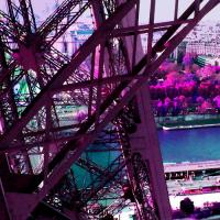 Printemps Paris #IG 8229 Printemps Paris #IG 8229