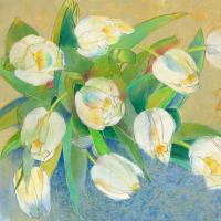 Wei§e Tulpen 1 #IG 8264 Wei§e Tulpen 1 #IG 8264