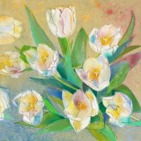 Wei§e Tulpen 2 #IG 8265 Wei§e Tulpen 2 #IG 8265
