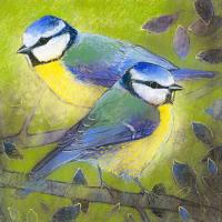 Blaumeisen #IG 8286 Blaumeisen #IG 8286