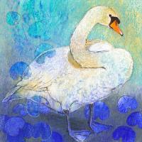 Schwan #IG 8292 Schwan #IG 8292