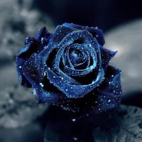 Crystal #IG 8363 Crystal #IG 8363