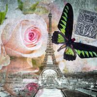 Butterfly I #IG 8411 Butterfly I #IG 8411