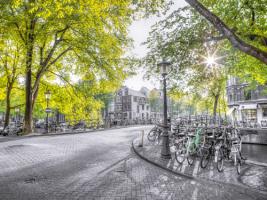 Amsterdam #IG 8421 Amsterdam #IG 8421