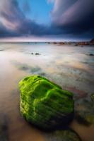 Barrika I #IG 8498 Barrika I #IG 8498