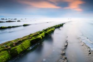 Barrika II #IG 8499 Barrika II #IG 8499