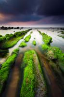 Barrika III #IG 8500 Barrika III #IG 8500
