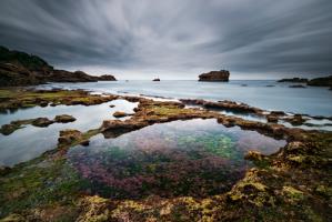Biarritz I #IG 8502 Biarritz I #IG 8502